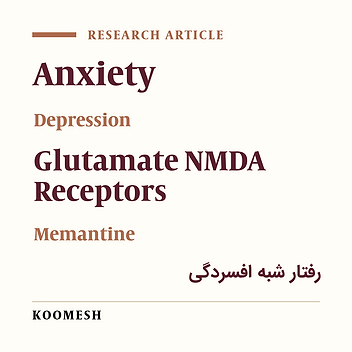 NMDA glutamate receptor inhibition in the dorsal hippocampus reduced the maintenance of electric foot shock stress -induced anxiety and depression like behaviors in mice