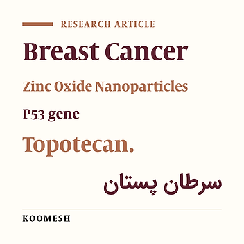 Effect of topotycan and zinc oxide nanoparticles combination on cytotoxicity and P53 gene expression against breast cancer (MCF-7) cell line