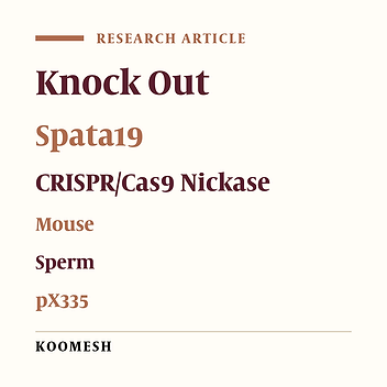 Generation of global Spata19 knockout mouse using CRISPR/Cas9 nickase technology