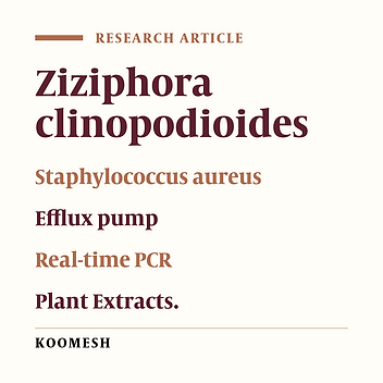 Effects of synthesized iron oxide nanoparticles from Ziziphora clinopodioides on expression of the efflux pump genes of Staphylococcus aureus