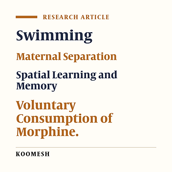 Effect of swimming exercise on spatial learning and memory, and voluntary morphine consumption in maternally separated rats in adulthood