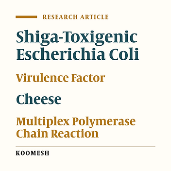 Molecular investigation of the prevalence and detection of enterohemorrhagic Escherichia coli isolated from traditional cheese in Iran