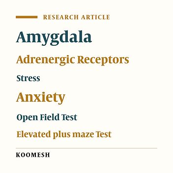 Effects  of the stimulation of β2-adrenoceptors  of the the basolateral amygdala on anxiety-like behaviors following electrical foot-shock stress in male rat