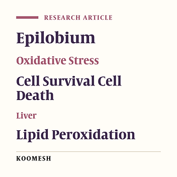 Effects of methanolic extracts of Epilobium parviflorum on growth and function of human liver cells HepG2
