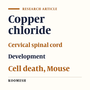 The teratogenic effects of copper chloride (II) on the cervical spinal development of mouse embryos