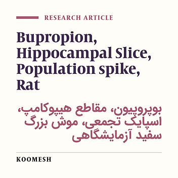 Effects of long term perinatal administration of Bupropion on population spike amplitude in neonatal rat hippocampal slices