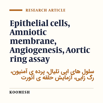 Effects of epithelial cells on amniotic membrane angiogenic properties using rat aortic ring assay