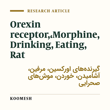 Role of orexinergic system in the effects of morphine on food and water intake in male rat