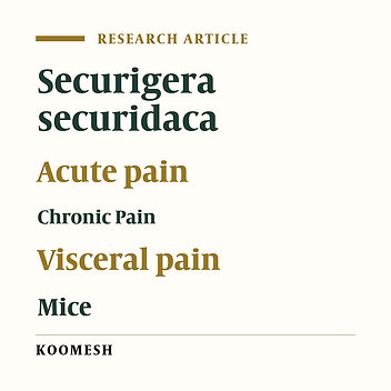 Effects of hydroalchoholic extract of Securigera securidaca L. seed on acute, chronic and visceral pain in male albino mice