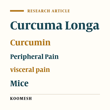Effects of hydroalchoholic extract of Turmeric (Curcuma longa) Rhizome on the peripheral and visceral pain in mice