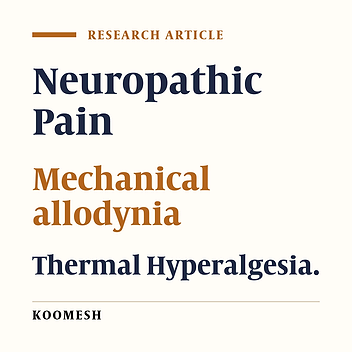 Evaluation of new method to induce neuritis and comparison its symptoms with current chronic constriction injury method in male rat