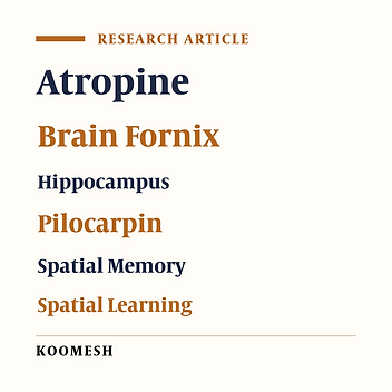 Involvement of muscarinic system of the dorsal hippocampus on acute stress-induced spatial learning and memory enhancement in male mice