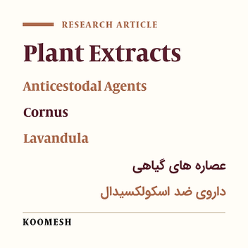 Comparison of scolicidal effects of hydroalcoholic extract of Cornus mas and Lavandula officinalis in vitro