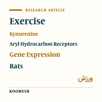Effects of eight weeks aerobic training on kynurenine and gene and protein expression of aryl hydrocarbon receptor in the heart of male rats