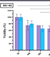 The Anti-cancer Effect of the Methanolic Extract of Rhamnus cathartica on AGS and MNK45 Cell Lines In Vitro