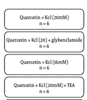 Examination of the Role of Potassium Channels in the Relaxant Effects of Quercetin on Intestinal Smooth Muscle Contractions