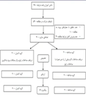 The effectiveness of Tele-occupational therapy on Visual-Motor Skills in children with specific learning disorder: Randomized Clinical Trial