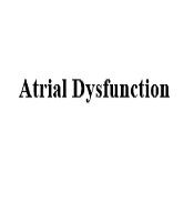 Correlation Between Left Atrial Appendage and Right Atrial Appendage Velocities in Different Pathologies and Normal Subjects