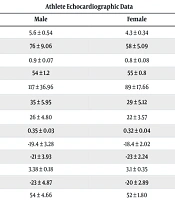 Echocardiographic Assessment of Floorball Athletes Engaged in Mixed-Type Exercise