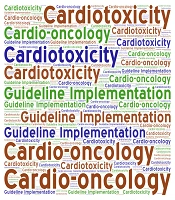 Real-World Challenges in Cardio-Oncology Practice: Lessons from Daily Clinical Experience