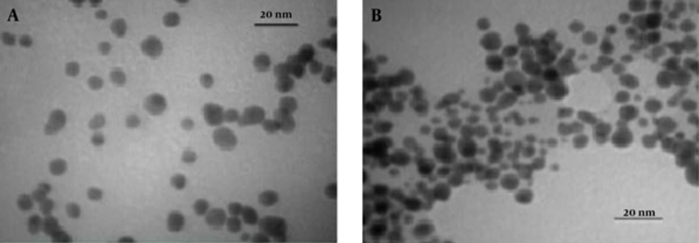 Typical TEM Image of AuNPs at 50°C and pH 7.5 for A, Barberry; and B, Saffron Typical TEM Image of AuNPs at 50°C and pH 7.5 for A, Barberry; and B, Saffron