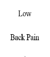 Comments on Misconceptions About the Management of Low Back Pain: A Brief Note for Physiotherapists by Musa Sani Danazumi