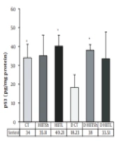 Short and Long-Term Interval Effects of High-Intensity Interval Training on Pathways Related to Telomere Homeostasis in Rat Skeletal Muscle