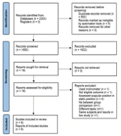 Scapular Kinematic During Arm Elevation in Shoulder Impingement Syndrome Using Motion Analysis System: A Systematic Review and Meta-analysis
