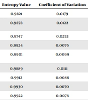 Evaluation of Rehabilitation Service Capacity for Mildly Disabled Institutionalized Elderly - An Analysis Based on the Hierarchical Analysis and Entropy Method