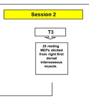Examining the Intra-rater Reliability of Transcranial Magnetic Stimulation (TMS)-Induced Motor Evoked Potentials (MEPs) Within and Between Sessions: A Step Towards Ensuring Accuracy of Observed MEP Changes in Repeated Measures Studies conducted by Newly Trained TMS Operators