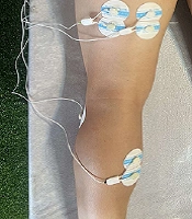 Reliability of Voluntary Response Index Analysis Using Surface Electromyography in Professional Football Players