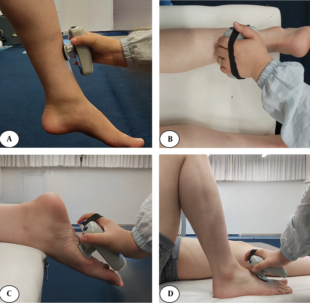 Dynamometry assessment of muscle strength for A, knee extensors; B, knee flexors; C, ankle plantar flexors; and D, ankle dorsiflexors. Dynamometry assessment of muscle strength for A, knee extensors; B, knee flexors; C, ankle plantar flexors; and D, ankle dorsiflexors.