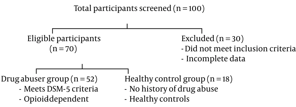 Flow diagram of participant selection Flow diagram of participant selection