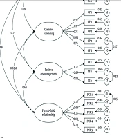 Validity and Reliability of the Persian Version of the Parenting and Family Adjustment Scales (PAFAS) in an Iranian Sample