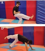Taekwondo-Based Core Stability Exercises Improve Functional Movement Screen Scores and Lumbar Sagittal Curvature in Individuals with Hyperlordosis: A Quasi-Experimental Study