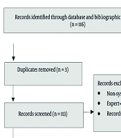 Adaptation and Contextual Development of Occupational Therapy Recommendations on Activities of Daily Living in Autism Spectrum Disorder for the Iranian Context