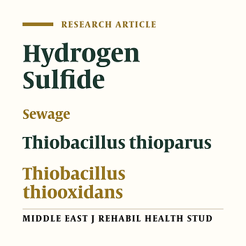 Changes in pH and Bacterial Populations in Sewage Sludge and Mixture of Sewage Sludge With Rice Husk Silica to Remove H2S Pollution