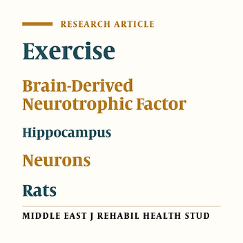 Enhancing Hippocampal Neuronal Numbers in Morphine-Dependent Rats by Voluntary Exercise Through a Brain-Derived Neurotrophic Factor-Mediated Mechanism
