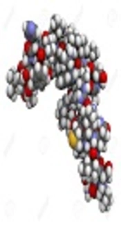 Cover image of the article: Evaluation of a New Method for Biological Activity Analysis of Recombinant Human Parathyroid Hormone-Related Protein
