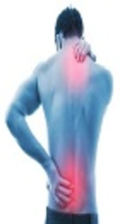 Cover image of the article: Combined Effects of Postural Education, Therapeutic Massage, Segmental Stretching, and Motor Control Exercise in a 19-Year-Old Male with Chronic Back Pain and Kypholordotic Posture: A Case Report