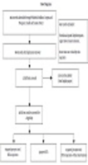 Cover image of the article: Effect of Botulinum Toxin A (BTX-A) Injection into Denervated Muscles on Synkinesis and Symmetry in Patients with Facial Nerve Paralysis