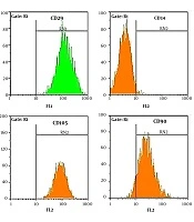 Increased Expression of Oct-4 and Nanog Genes Following Nontoxic Ciprofloxacin Treatment in Adipose-Derived Stem Cells