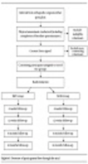 Middle East Journal of Rehabilitation and Health
