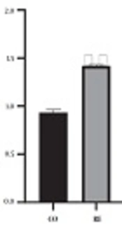 Effect of Eight Weeks of Resistance Training with Spirulina Platensis Ingestion on the Heart Weight and Cardiac C/EBPβ Expression in Male Rats