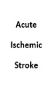 Role of Informal Caregivers of Acute Ischemic Stroke Patients in the Failure of Update Medications: A Letter to the Editor
