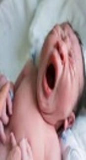 Cover image of the article: Investigating the Effect of Perineal Heating Pad on the Frequency of Episiotomies and Perineal Tears in Primiparous Females