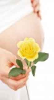 Severe Maternal Outcomes in a Tertiary Referral Teaching Hospital in Sistan and Baluchistan Province, Iran: A Cross Sectional Study