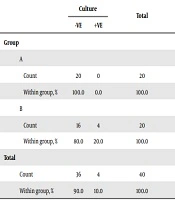 Oral Antibiotic Use Following Stented Hypospadias Repair: Does It Play a Role in the Prevention of Urinary Tract Infections?