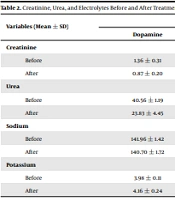 Cover image of the article: Dopamine and Drip Lasix in Pediatrics with Oliguria: A Clinical Trial Study