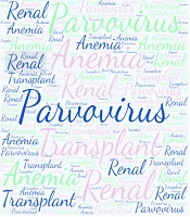 Parvovirus: Uncommon Causes of Anemia and Kidney Failure in a Kidney Transplant Patient